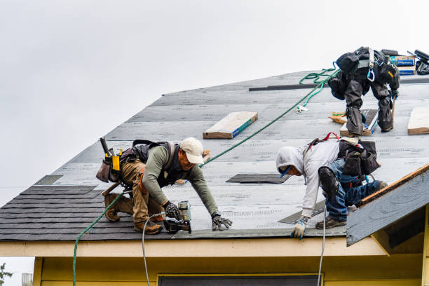 Professional Emergency Roof Repair technician working in Fayette City, PA